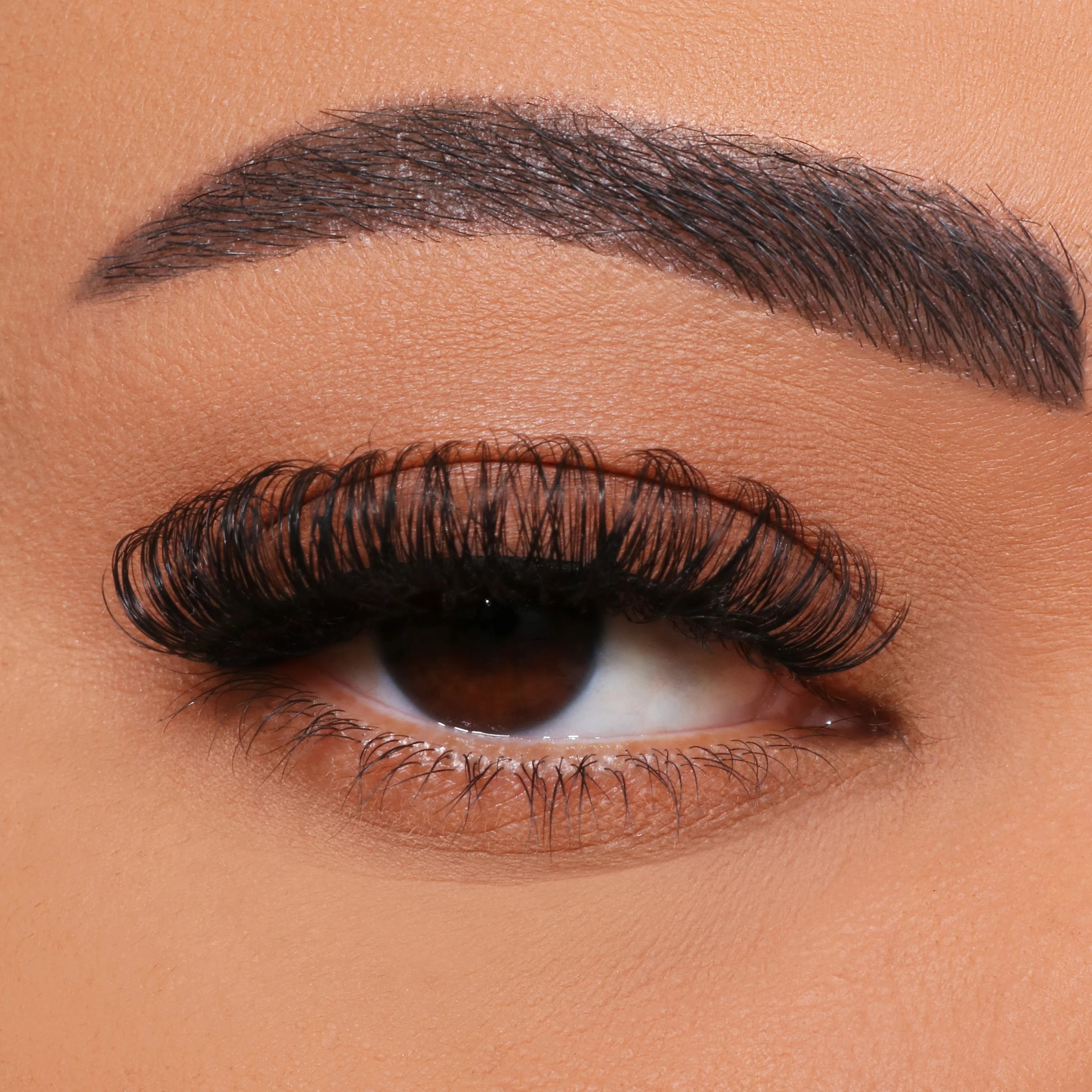 Hvernig á að DIY fjölblóma ígræðslu?